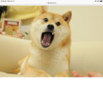 Doge_doritos