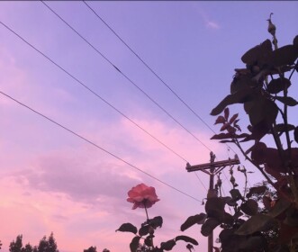 My own space to block out the world