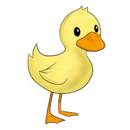 Le Juice Duck raid center