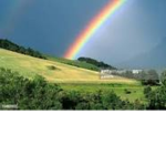 RAINBOWS Team!