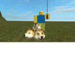 Doges and Noobs