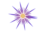 Cosmic Nova Games!
