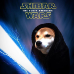 Doge Order Veterans