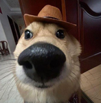 Derflorest