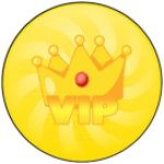 👑VIP👑
