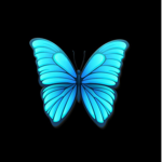 Butterflysss squadsss
