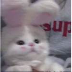ꜱʀ ɪɴᴄ.