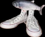 Fish cnmb