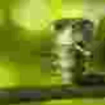 robuxig
