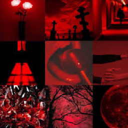𝕾𝖍𝖊'𝖘