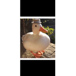 Duck has cool hat!