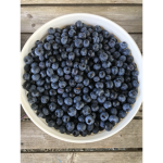The Blueberry cuIt