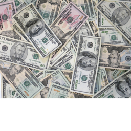 Official $$ obby