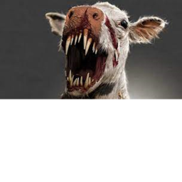 Survive The Cow the killer