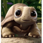 i like this turtle
