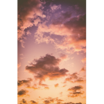 SunsetEm~Official Group