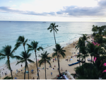 Hawaii_peeps