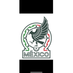 Mexico soccer team tps street soccer