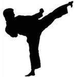 karate master club