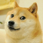 Doge Chat!