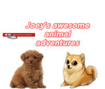 Joey’s awesome animal adventures official fan club