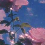 Lovely’s Flowers