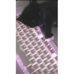 Not_mia