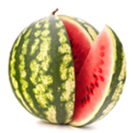 Legion Prima Italica