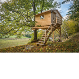 Juego de casa del arbol