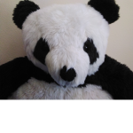 Panda Squad jr