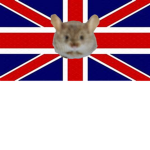 United Rodents Group
