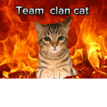 clan cat