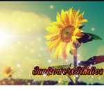 SunflowerxStudios
