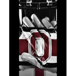 Ohio fam