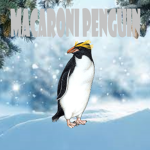 Macaroni Penguin World