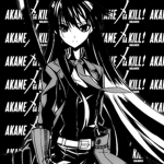 Akame Ga Kill: Balance