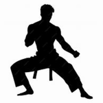 Martial Arts Studio