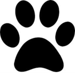 The Protest Against Cat Declawing