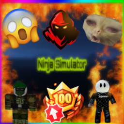NINJA SIMULATOR (NEW)