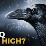 an iq too high?