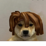 Bacon and doge group