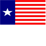 THE TEXAS NAVY