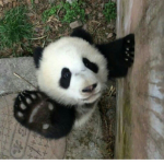 ‘miao.. ;3