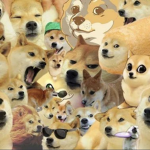 The Legendary Doges (: