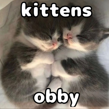 котята обби