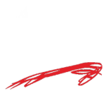 101st Raider Division