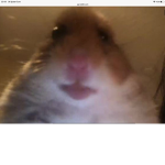 Xxtroll23