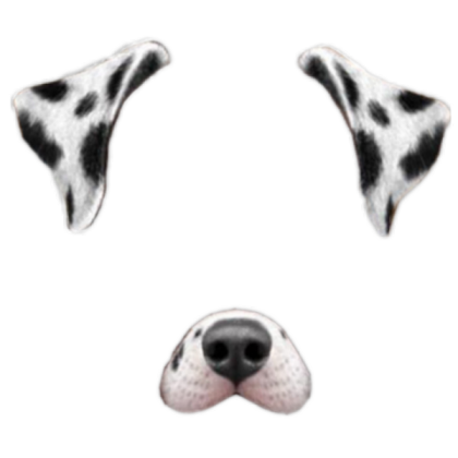 ✭Dalmation Dog Filter Roblox decal