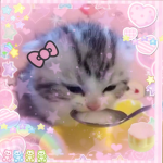 :338