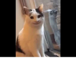 pintamoiangaba